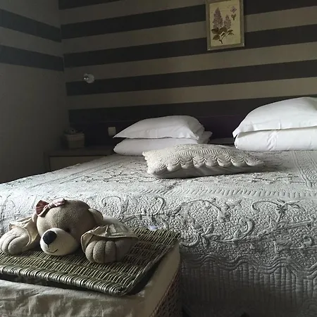 Hotel Margot'l